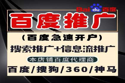 成功SEM推广代运营案例分享